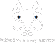 Safford Veterinary Services