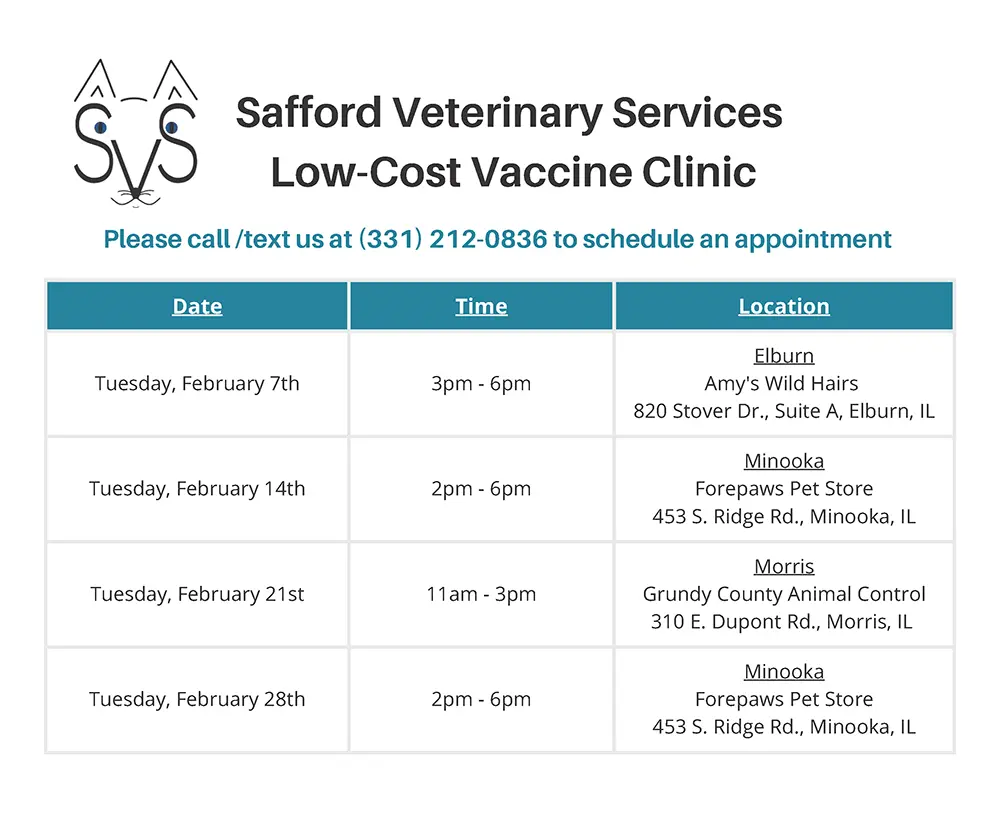 Safford Veterinary Services Low Cost Veterinary Clinic - Please call/text us at 331-212-0836 to schedule an appointment