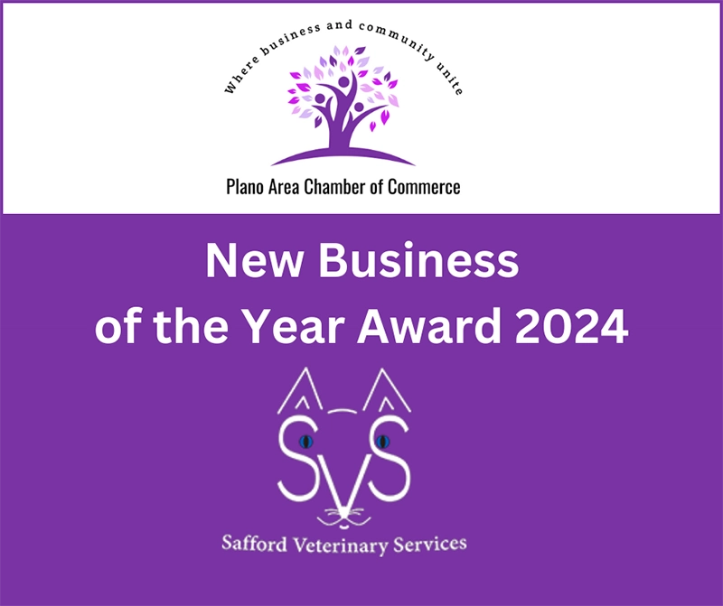 2024 New Business of the Year Award